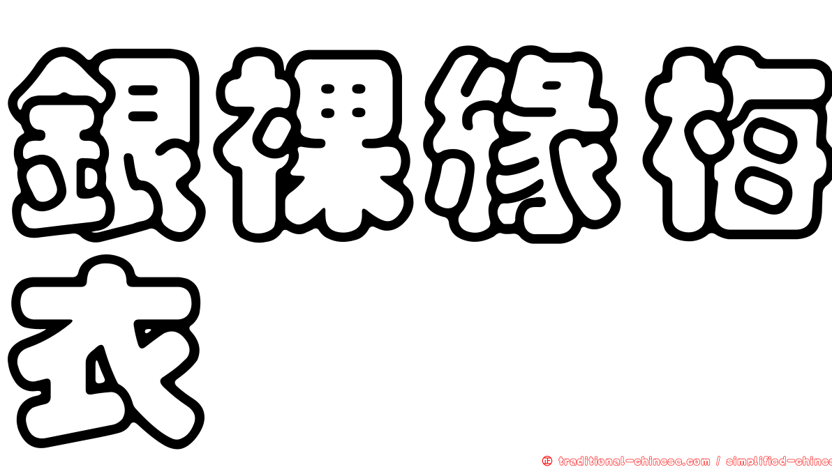 銀裸緣梅衣
