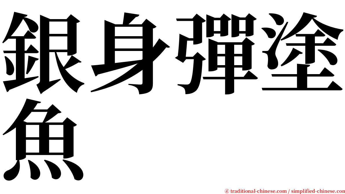 銀身彈塗魚 serif font