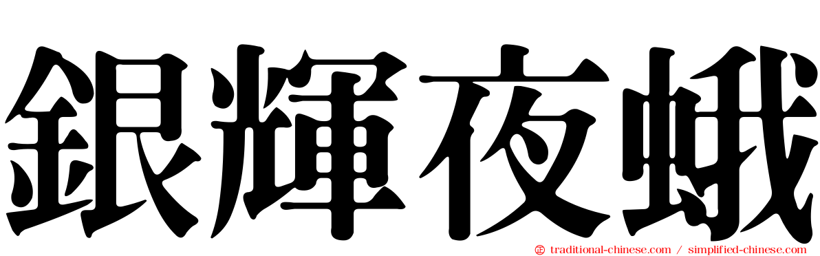 銀輝夜蛾