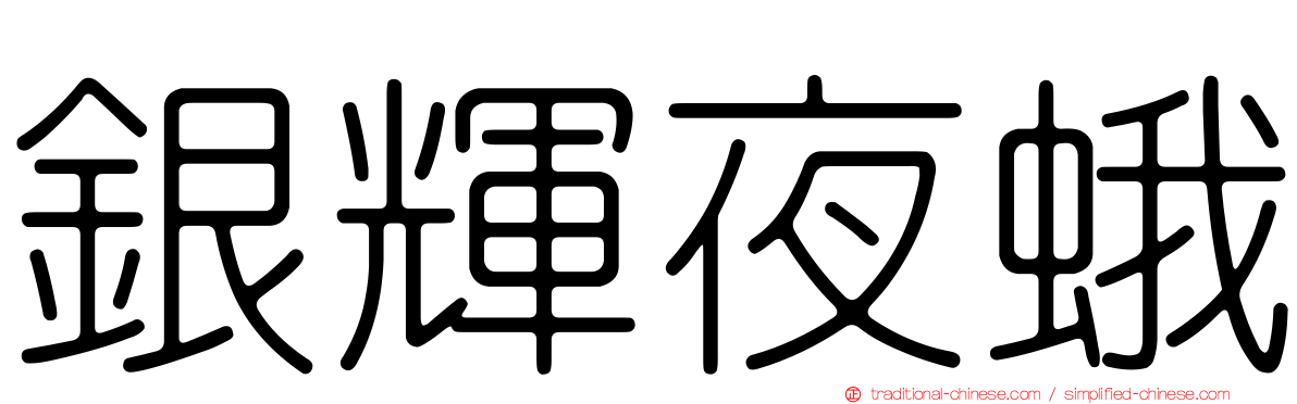 銀輝夜蛾
