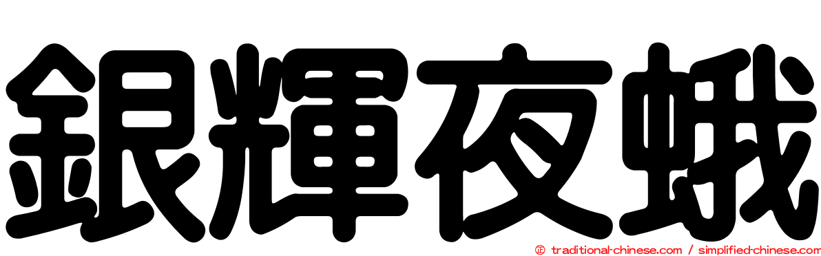 銀輝夜蛾
