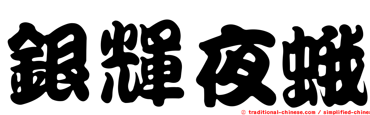 銀輝夜蛾