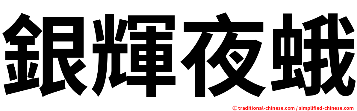 銀輝夜蛾