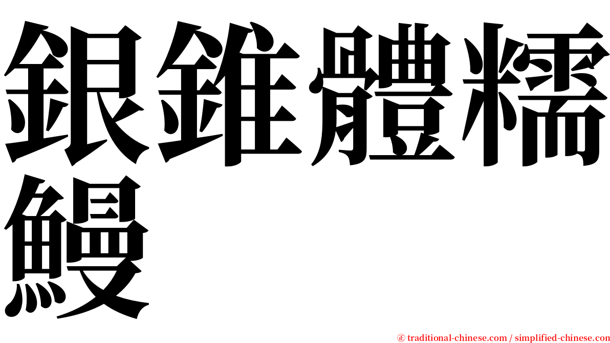 銀錐體糯鰻 serif font