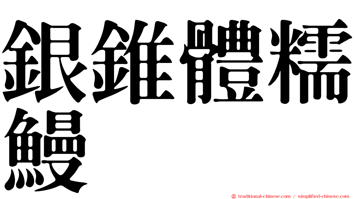 銀錐體糯鰻