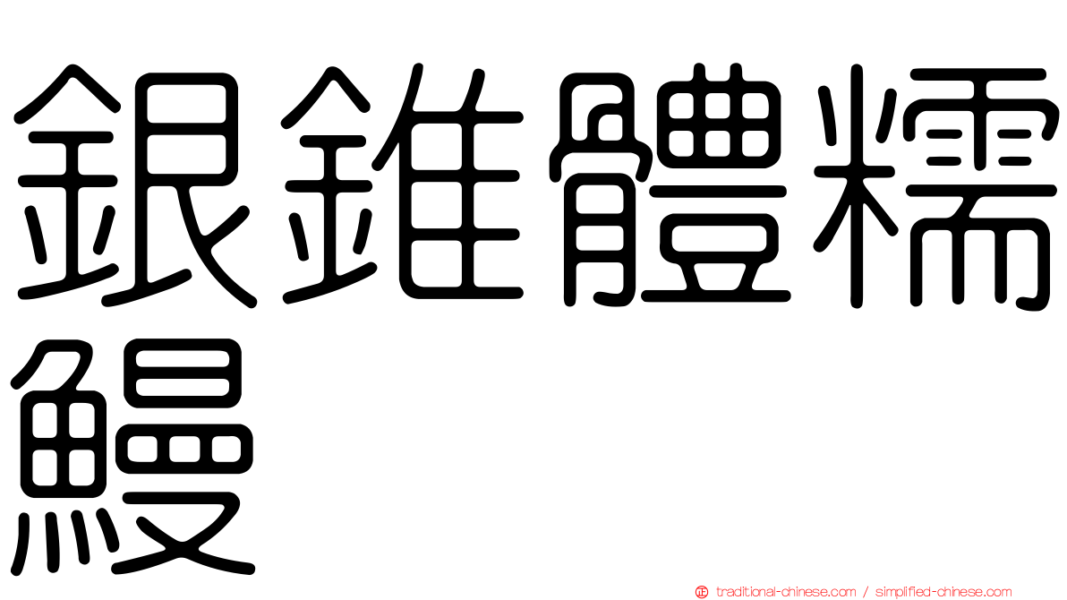 銀錐體糯鰻