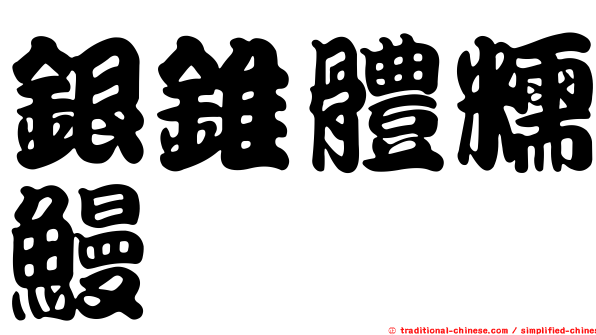 銀錐體糯鰻