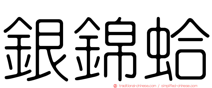 銀錦蛤