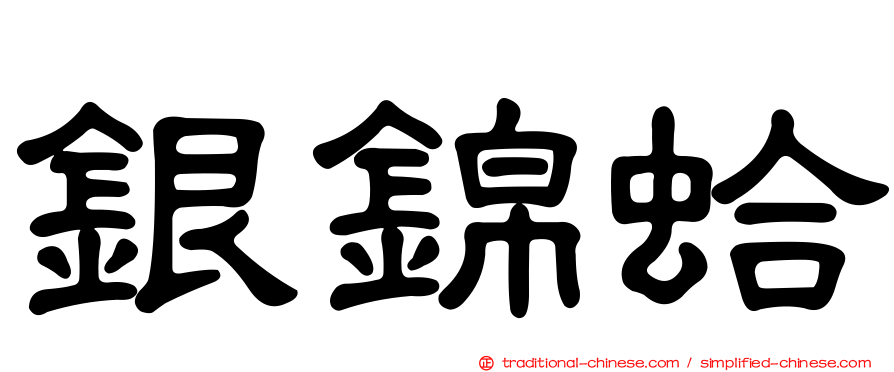 銀錦蛤