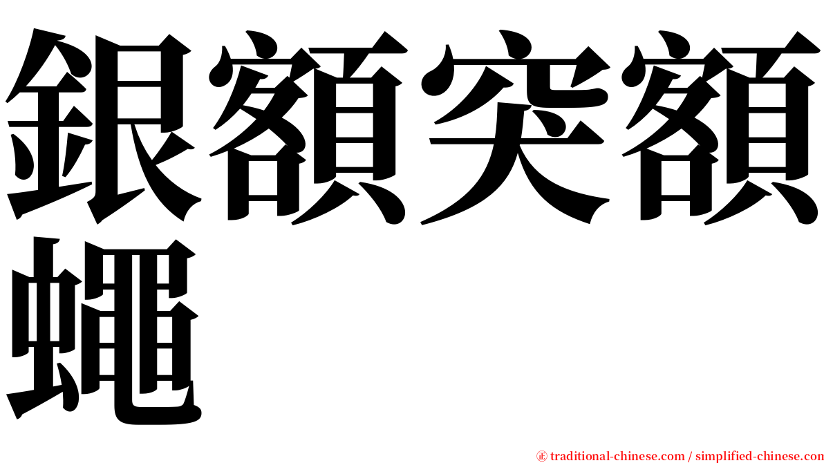 銀額突額蠅 serif font