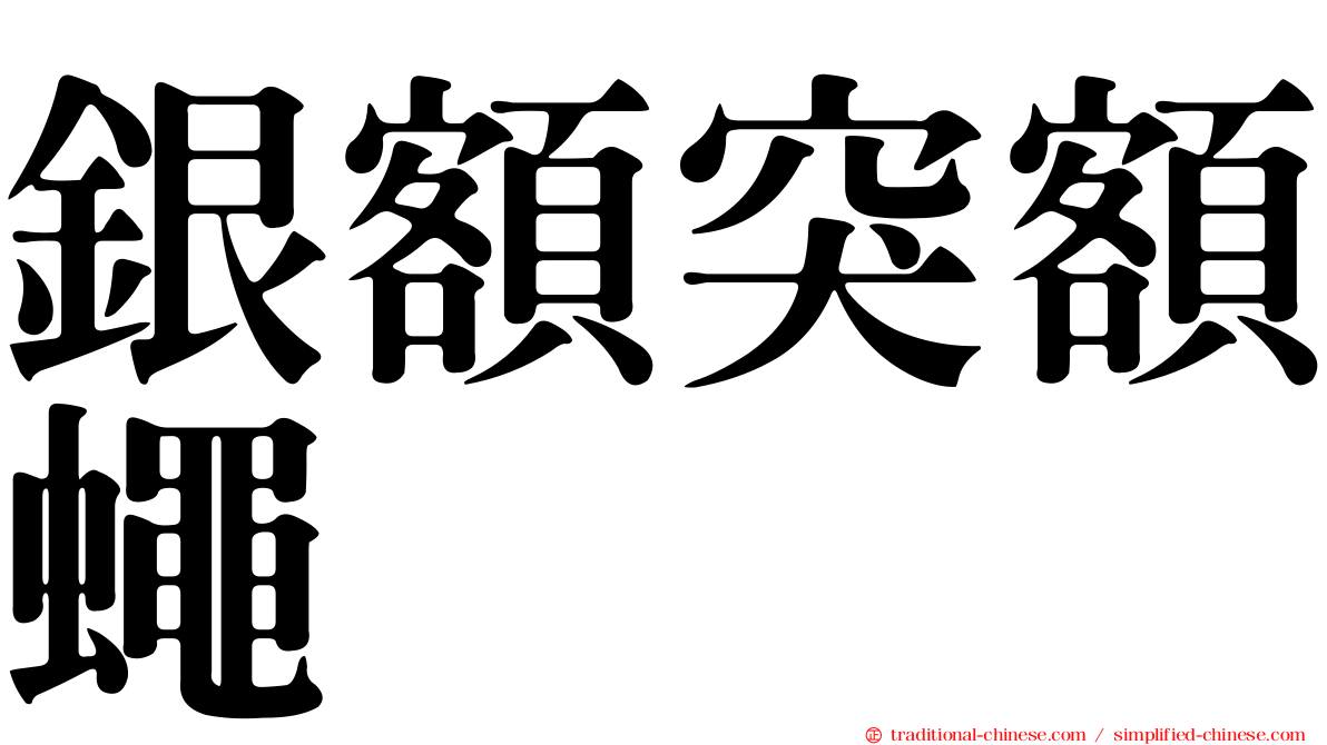 銀額突額蠅