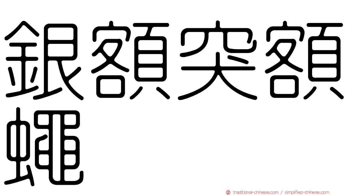 銀額突額蠅