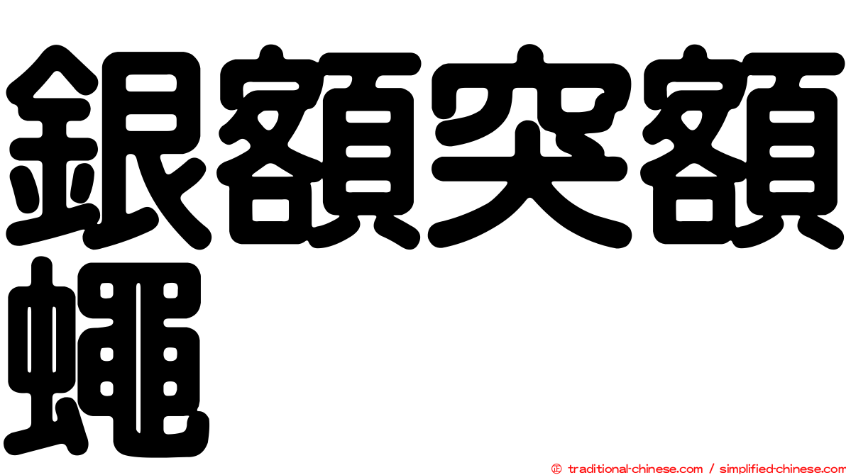 銀額突額蠅