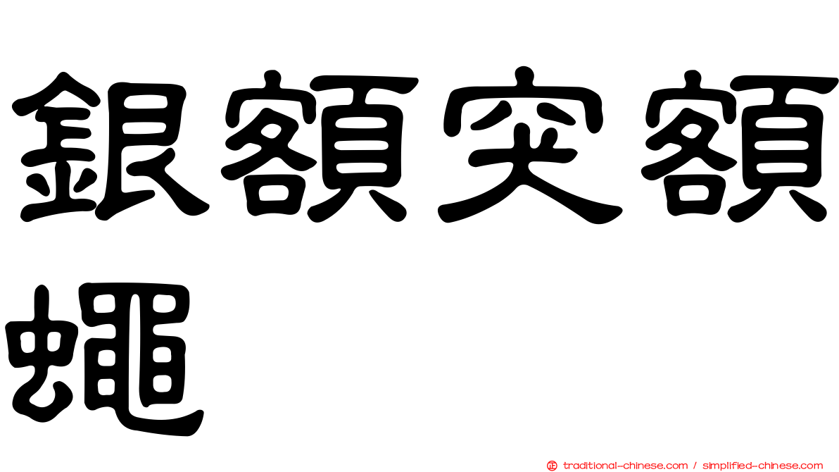 銀額突額蠅