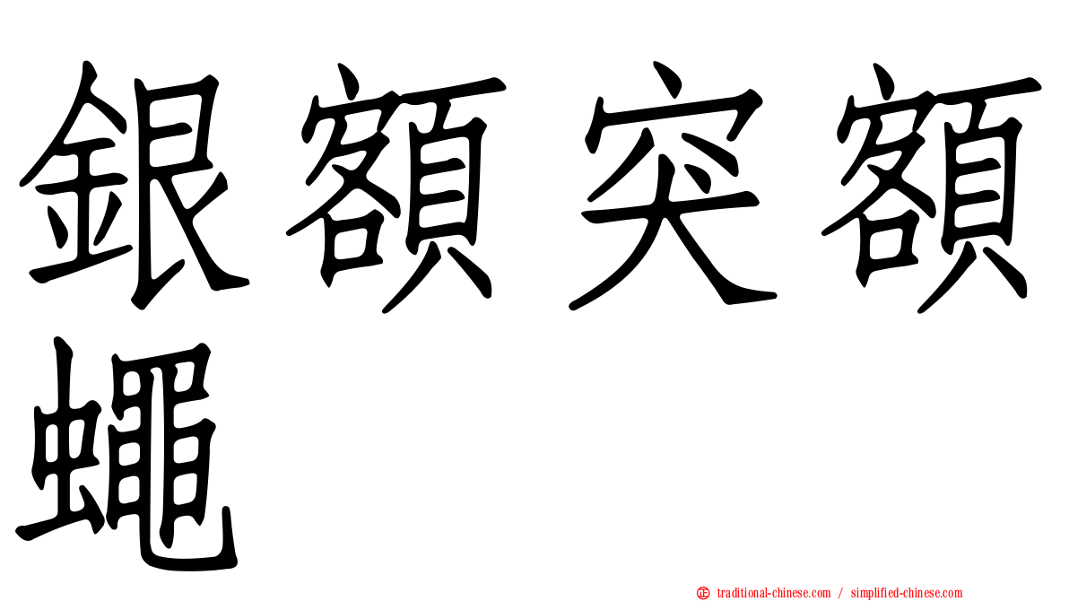 銀額突額蠅