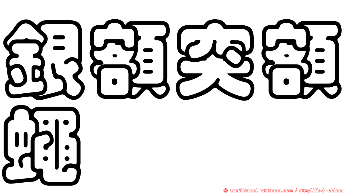 銀額突額蠅