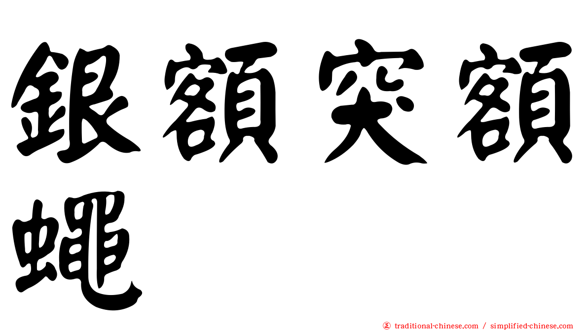 銀額突額蠅