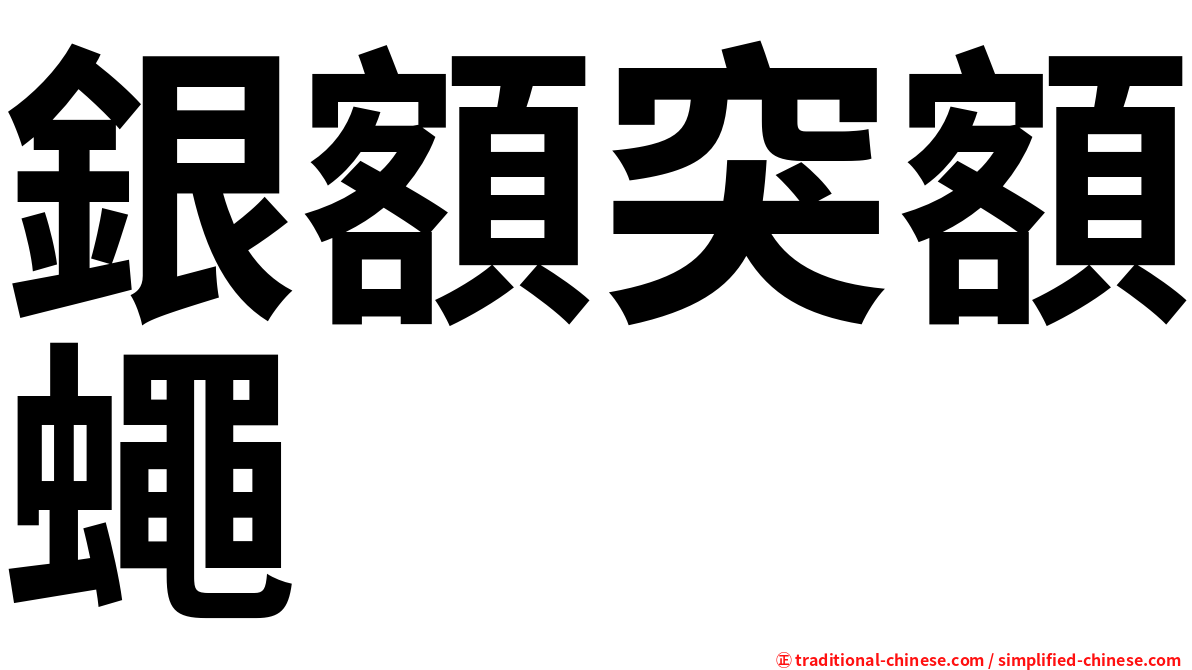 銀額突額蠅