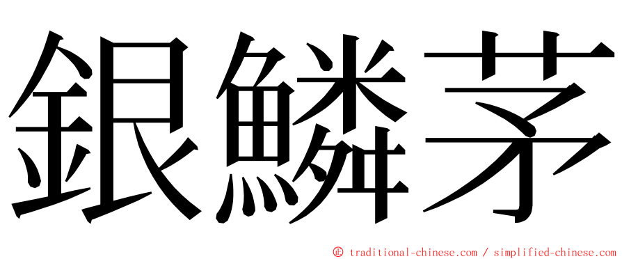銀鱗茅 ming font