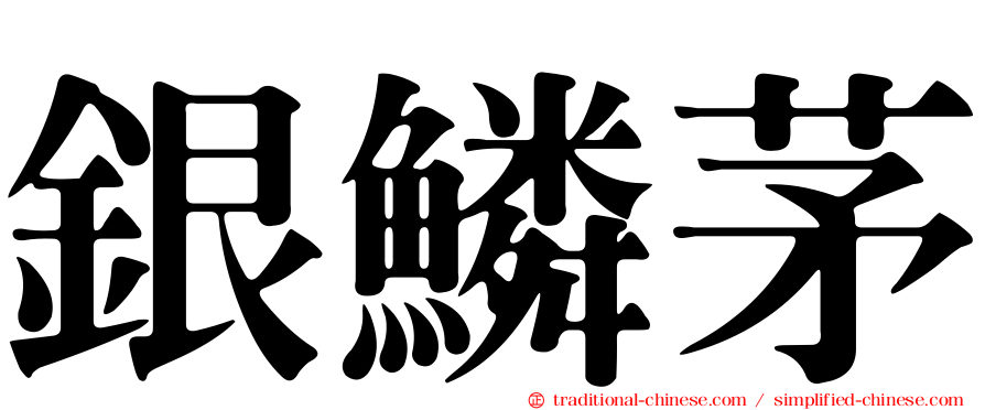 銀鱗茅