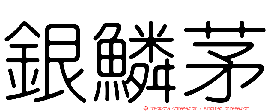 銀鱗茅