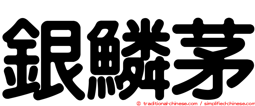 銀鱗茅