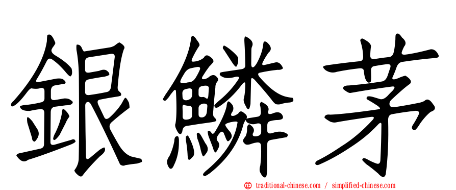 銀鱗茅