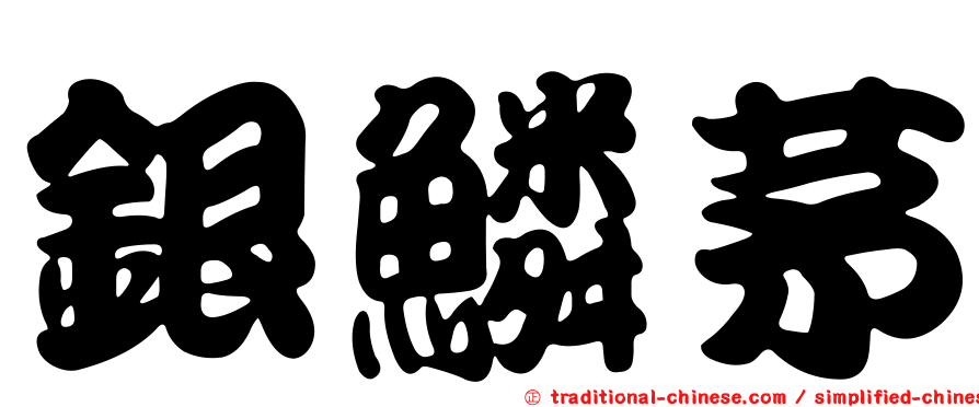 銀鱗茅