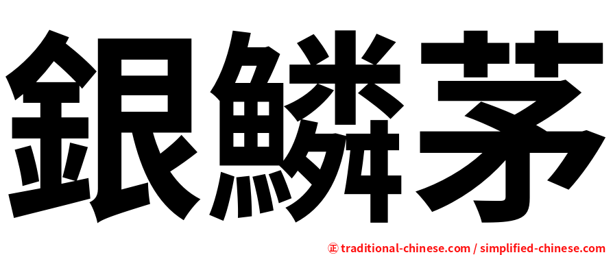 銀鱗茅