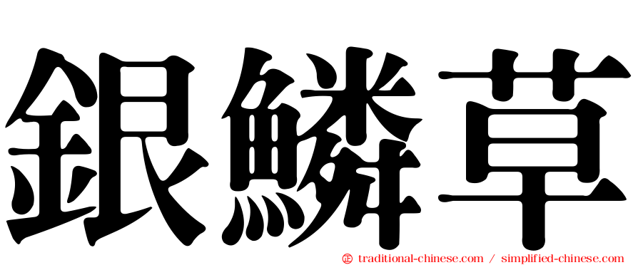 銀鱗草