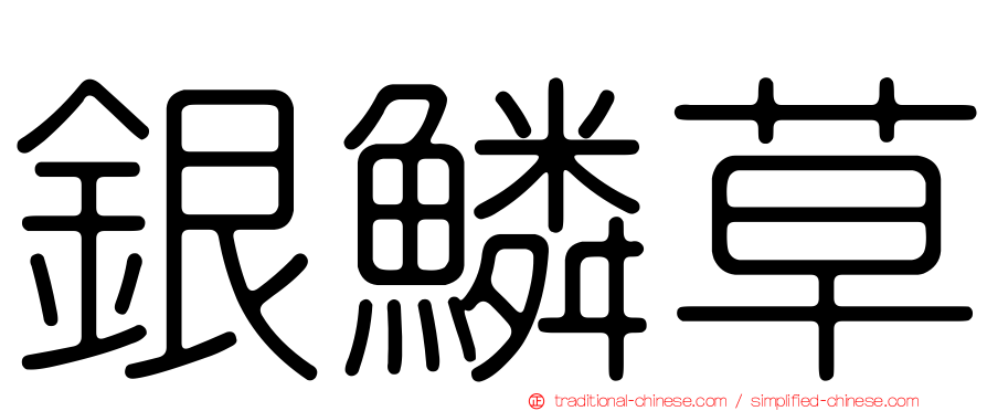 銀鱗草
