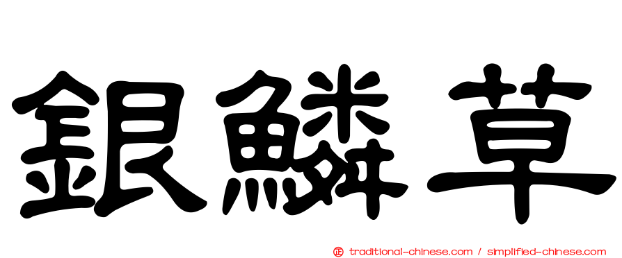 銀鱗草