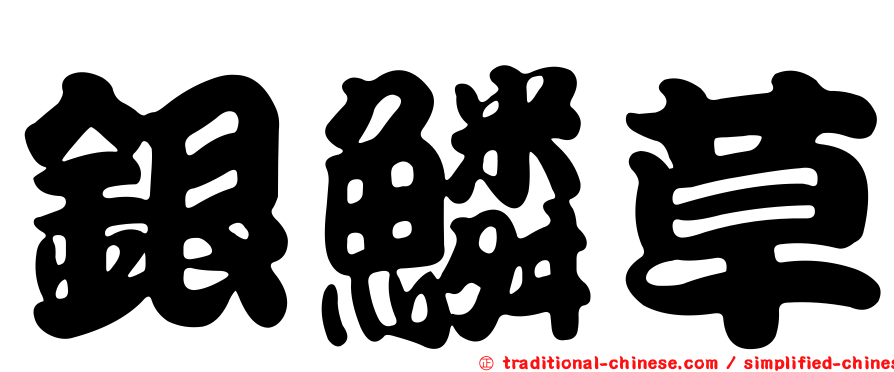銀鱗草