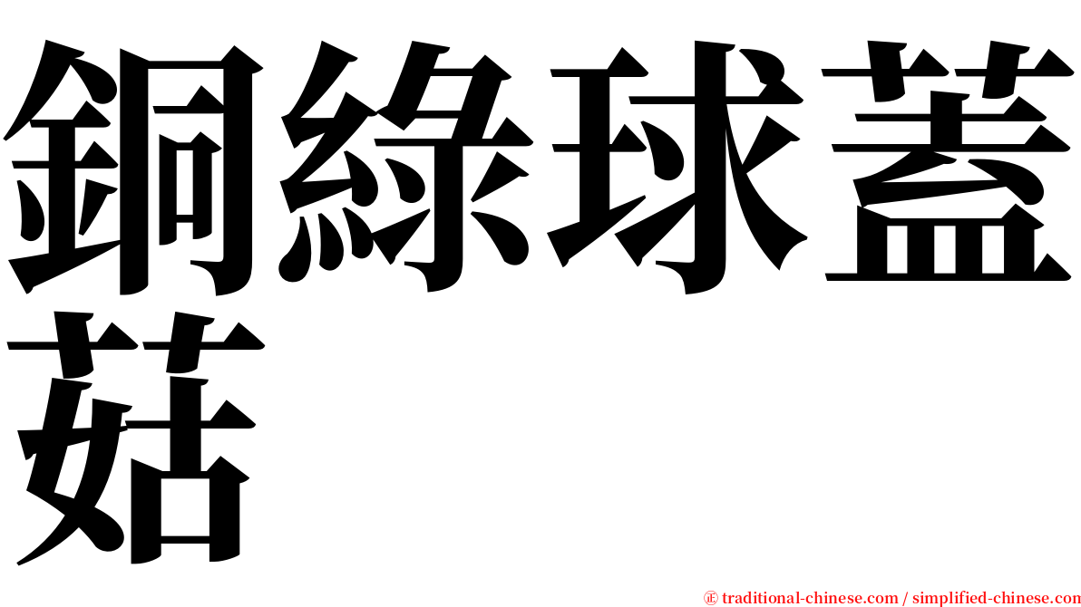 銅綠球蓋菇 serif font