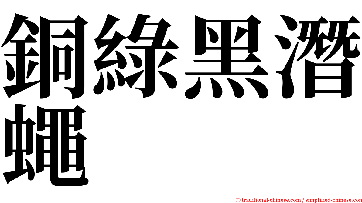 銅綠黑潛蠅 serif font