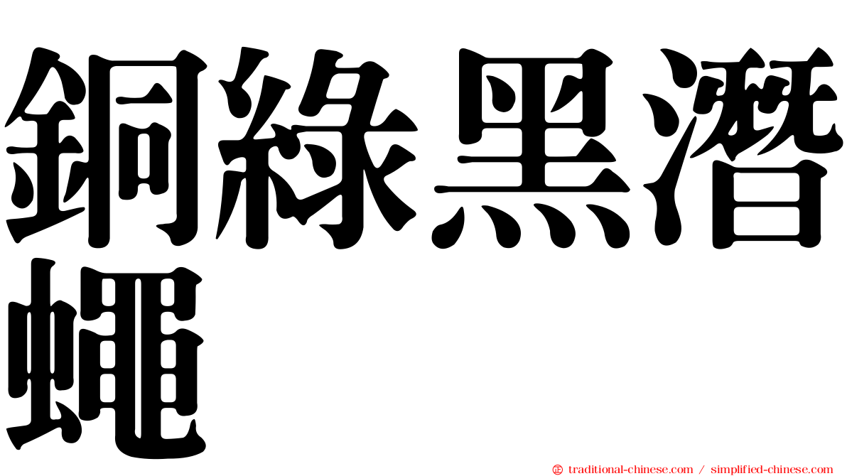 銅綠黑潛蠅