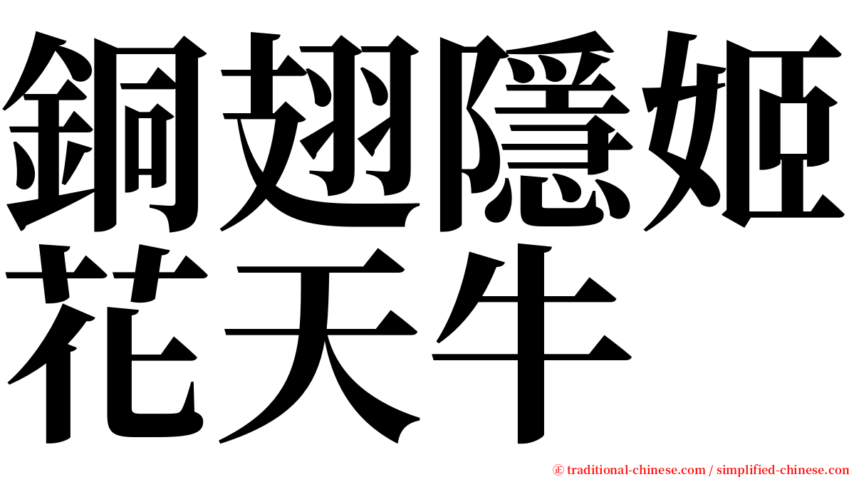 銅翅隱姬花天牛 serif font