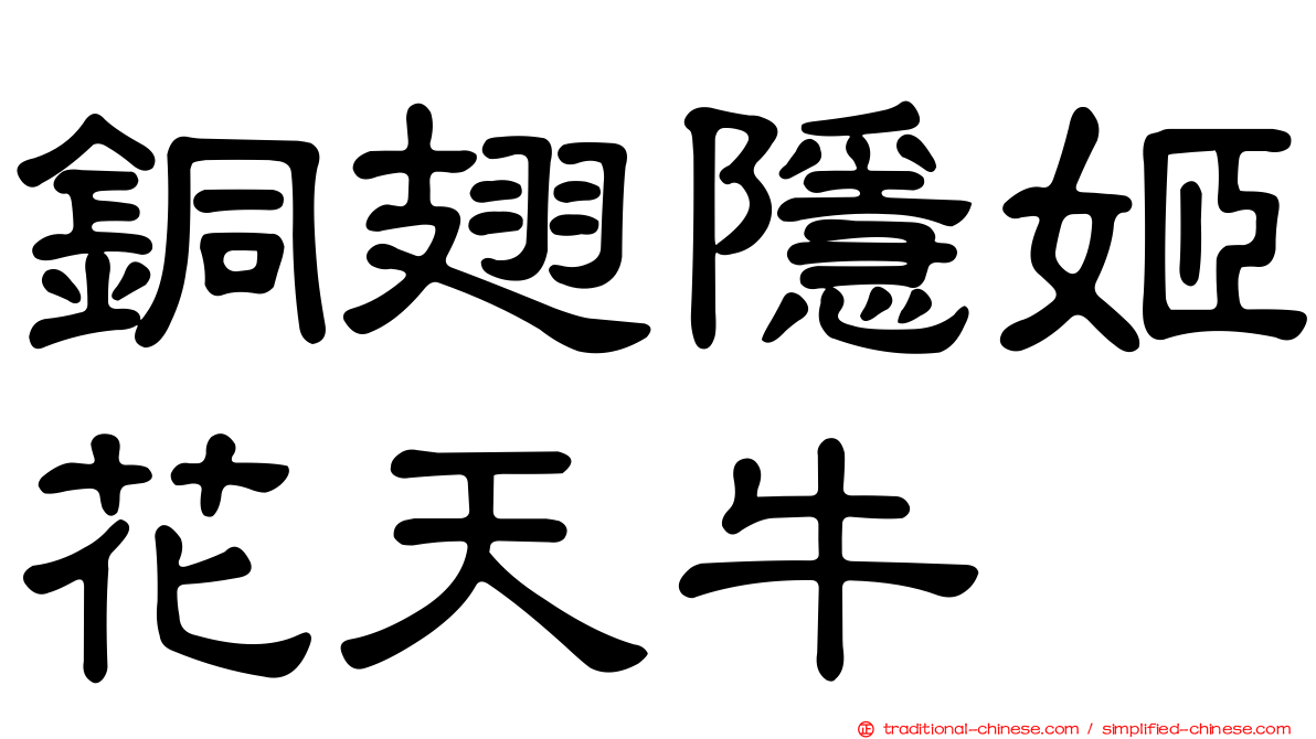 銅翅隱姬花天牛