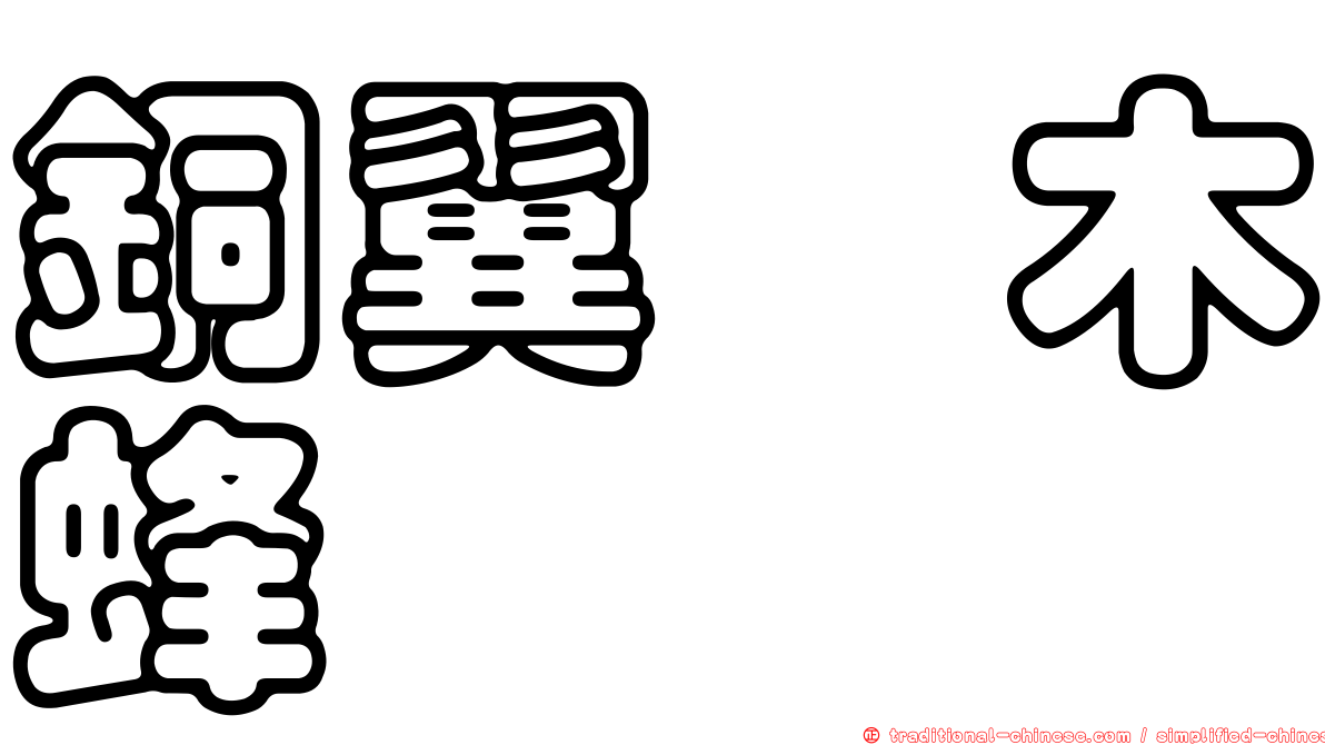 銅翼眥木蜂
