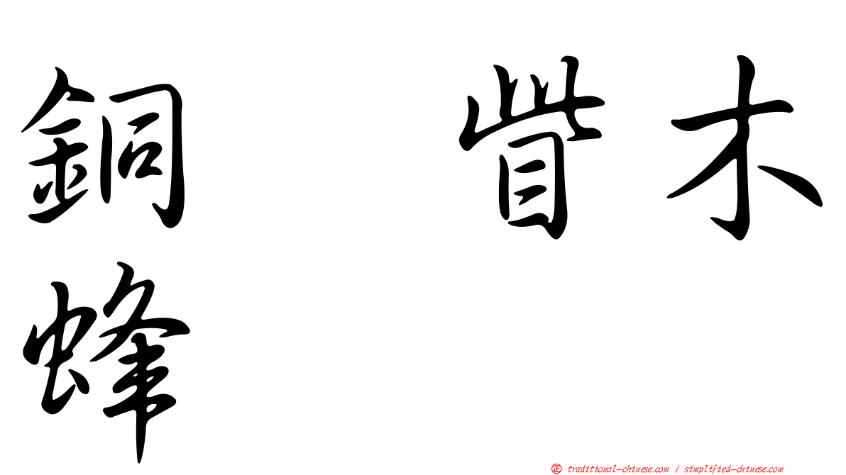 銅翼眥木蜂
