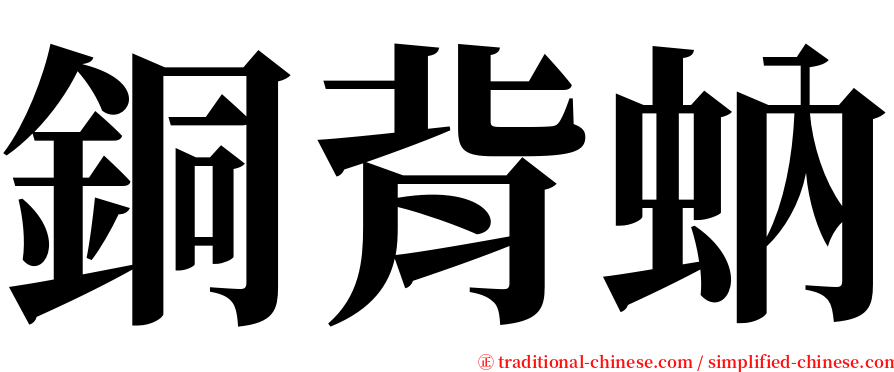 銅背蚋 serif font