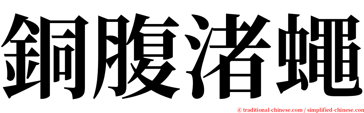 銅腹渚蠅 serif font