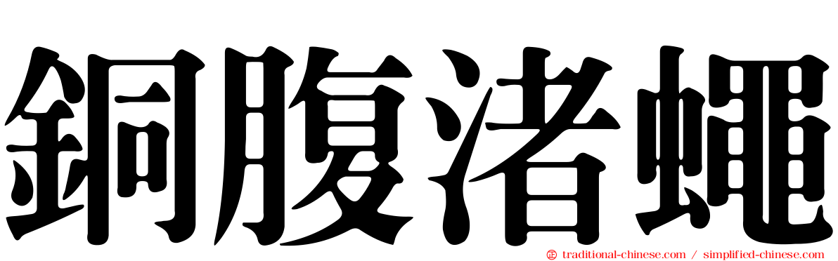 銅腹渚蠅