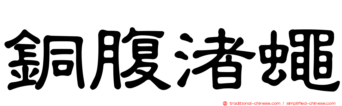 銅腹渚蠅