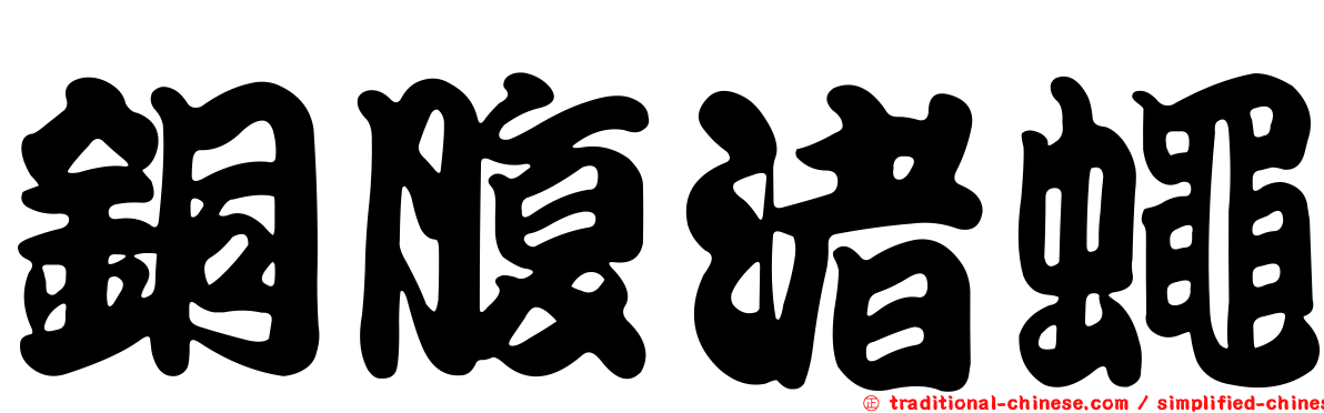 銅腹渚蠅