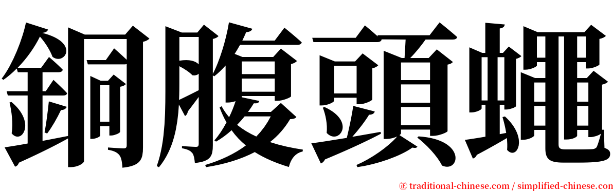 銅腹頭蠅 serif font