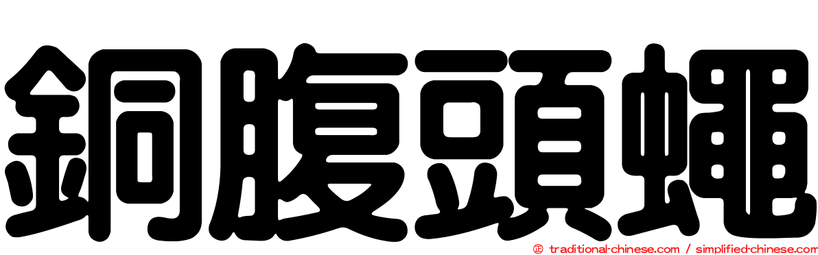 銅腹頭蠅