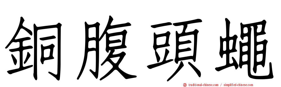 銅腹頭蠅