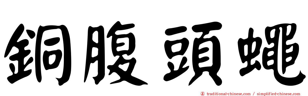 銅腹頭蠅