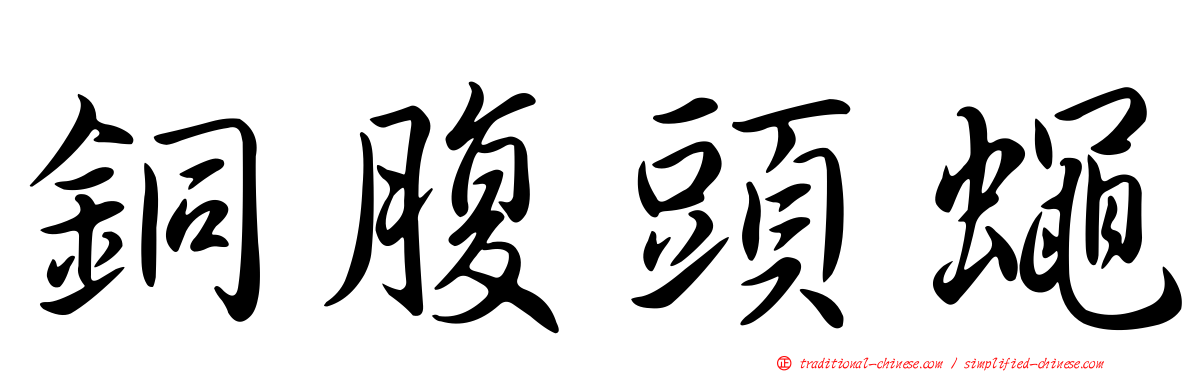銅腹頭蠅